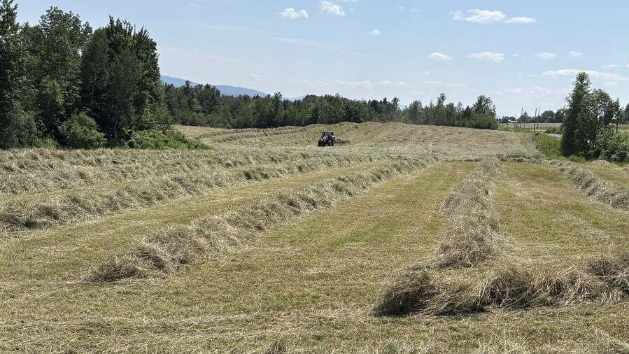 Tractor raking hay across a field at Plantations Aurora, with hills in the background